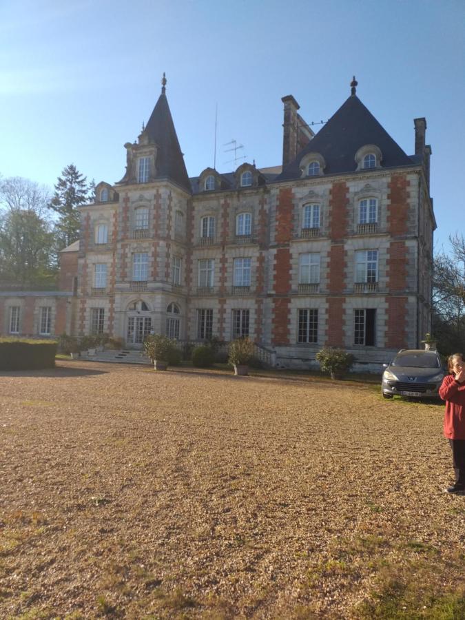Chateau De Rocheux Freteval Ngoại thất bức ảnh